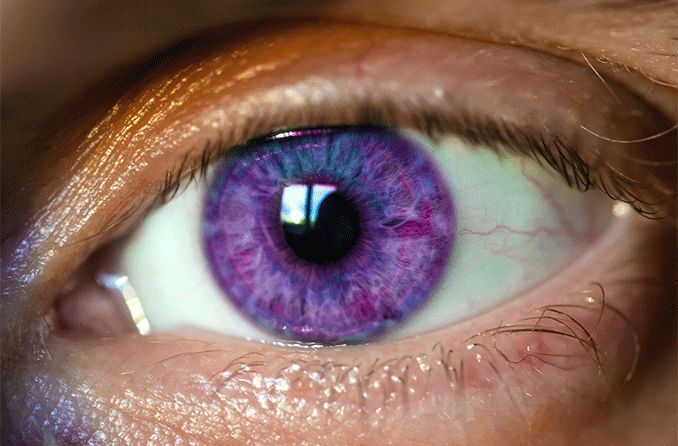 Violet eyes - origin, description, myths