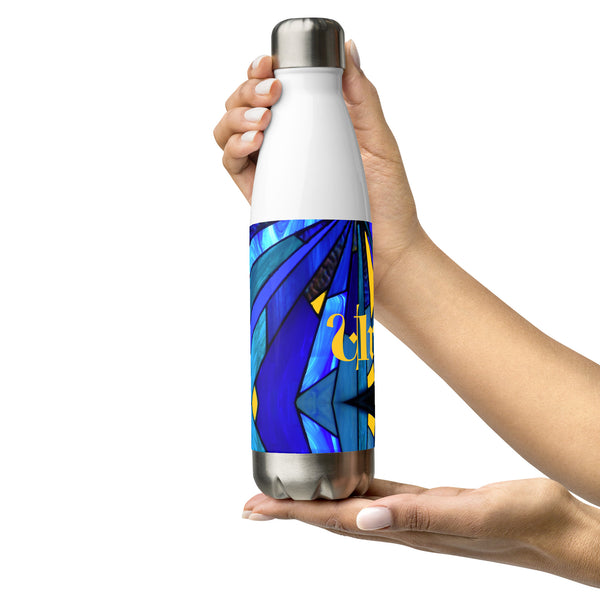 Stainless steel water bottle in eye colors